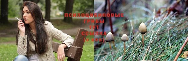 винт Балахна