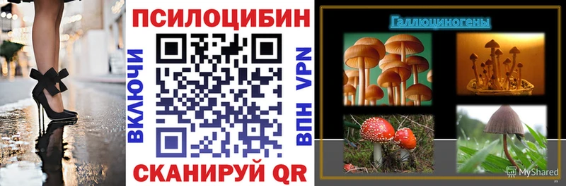 Галлюциногенные грибы Psilocybine cubensis  цена   даркнет клад  Козьмодемьянск  omg ССЫЛКА 